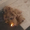 fire resistant flax fiber image